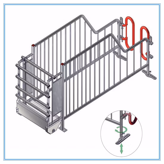 Galvanized Pig Feeding Equipment Auto Feeding System