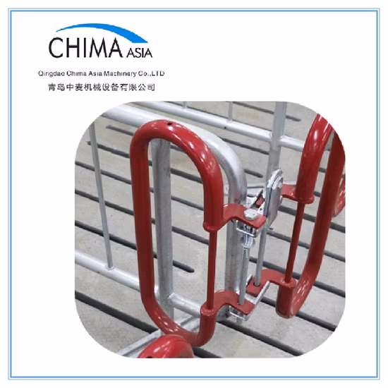Galvanized Pig Feeding Equipment Auto Feeding System