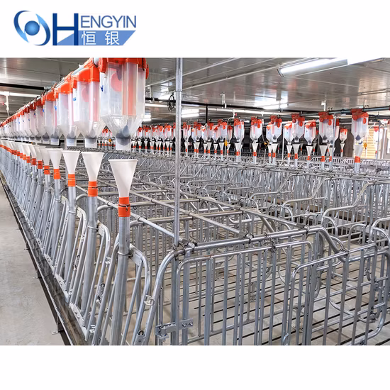 Swine Farm Complete Equipment Pig Cage Sow Ai Gestation Crate