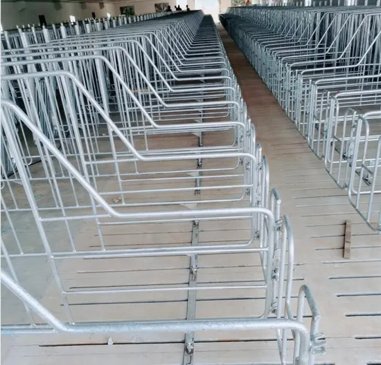 Sow Gestation Crate High Quality Pregnant Pig Gestation Crate in Animal Cage for Sale