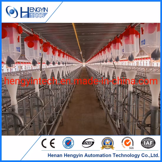 Turnkey Pig Farm Project Penning Feeding Drinking Ventilation System for Sale