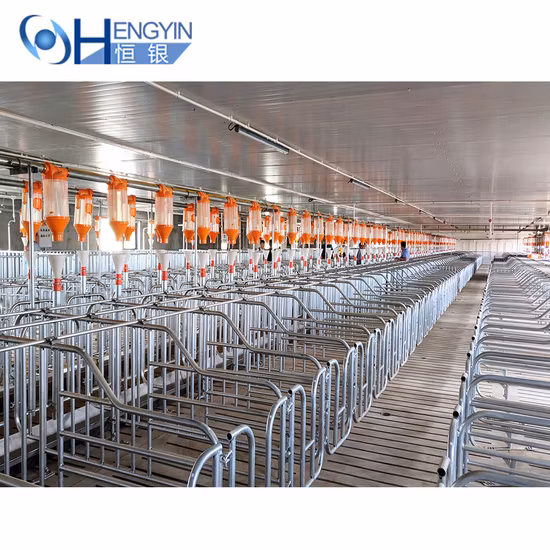 Swine Farm Complete Equipment Pig Cage Sow Ai Gestation Crate