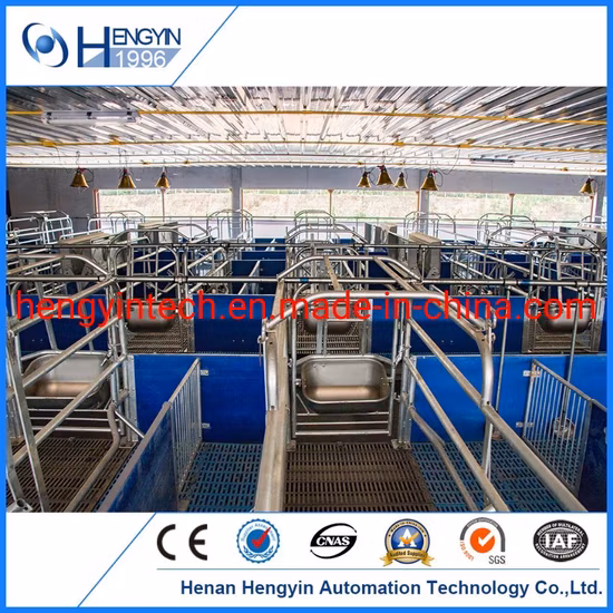 Turnkey Pig Farm Project Penning Feeding Drinking Ventilation System for Sale