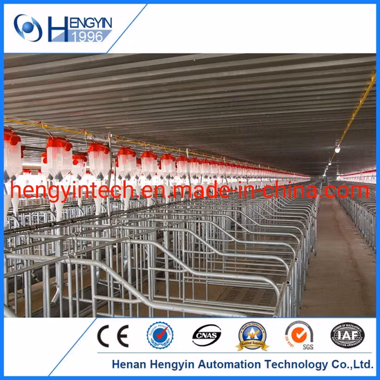 Turnkey Pig Farm Project Penning Feeding Drinking Ventilation System for Sale