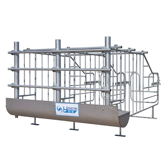 Swine Farm Complete Equipment Pig Cage Sow Ai Gestation Crate