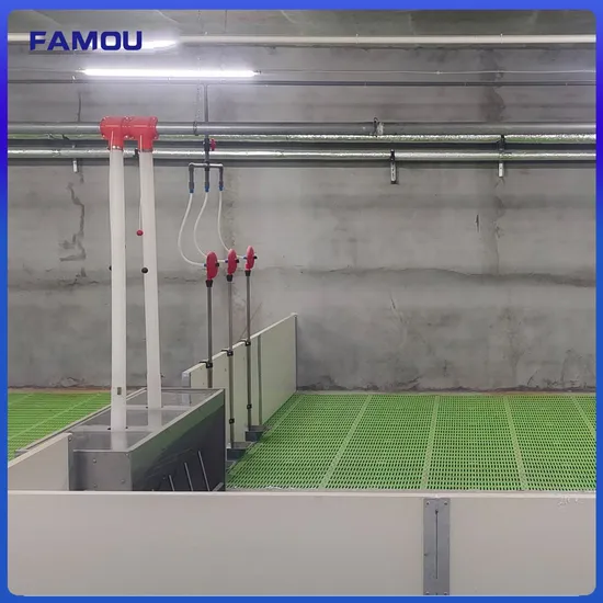 Livestock Coop Slatted Plastic Material Pig Flooring System