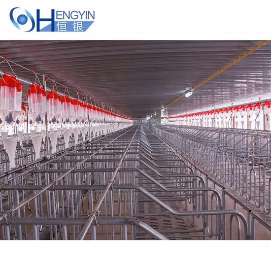 Swine Farm Complete Equipment Pig Cage Sow Ai Gestation Crate