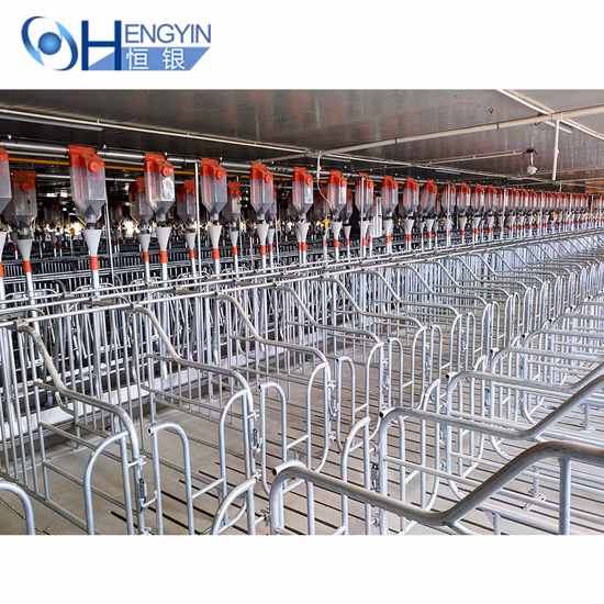 Swine Farm Complete Equipment Pig Cage Sow Ai Gestation Crate