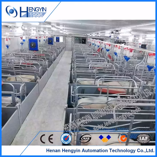 Turnkey Pig Farm Project Penning Feeding Drinking Ventilation System for Sale