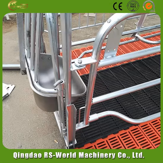 Farrowing Crates for Pigs Farrowing Stalls