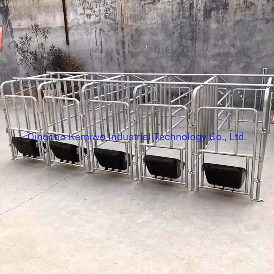 Galvanized Pig Gestation Limited Stalls Crates Pens