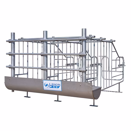 Pregnant Pig Cage Gestation Crate Sow Housing for Pig Farm