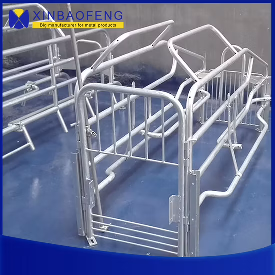 Pig House Design Farming Equipment Hog Wire Fence Used Sow Farrowing Crates for Sale