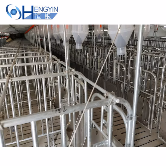 Swine Farm Complete Equipment Pig Cage Sow Ai Gestation Crate