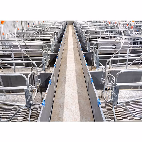 Factory Direct Sale Cheap Farrowing Crates for Pigs