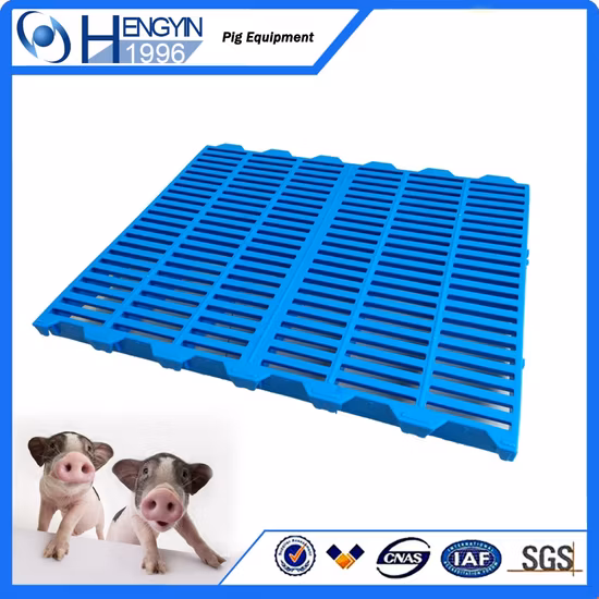 Livestock Poultry Piggery Used Flooring 100% PP Material Plastic Slat for Pig