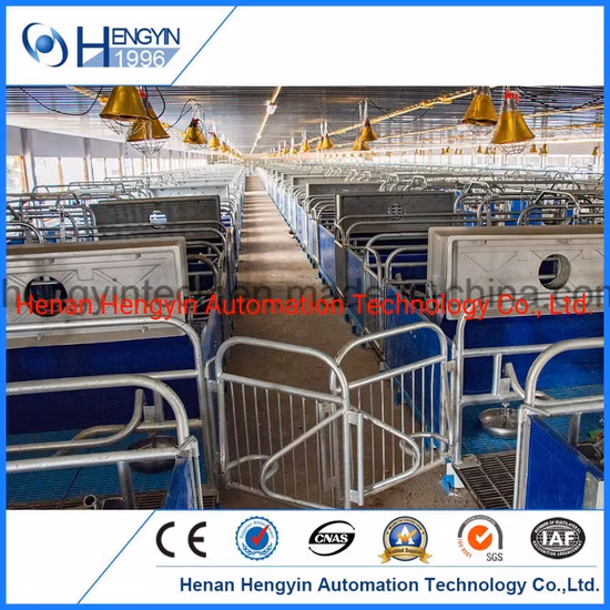 House Equipment Farrowing Pig Crate Best Quality and Price