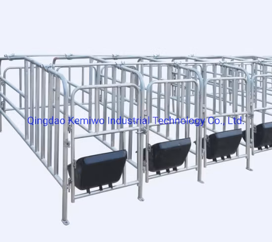 Hot Dipped Galvanized Pig Gestation Crate/Pen Pig Farming Equipment