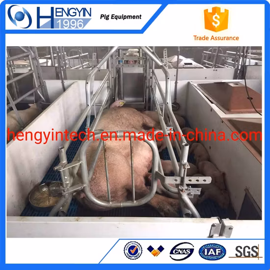 Pig Farm Turnkey Project Feeding Drinking Ventilation System for Sale