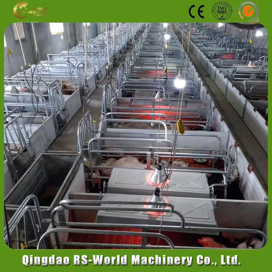 Pig Farrowing Crate for Sow Stall Factory Direct Sale Galvanized Cages