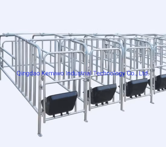 Sow Gestation Crate High Quality Pregnant Pig Gestation Crate in Animal Cage for Sale