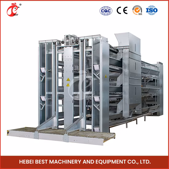 Bestchickencage Ordinary Type Layer Cage China Insulated Chicken Layer Coop Manufacturer High