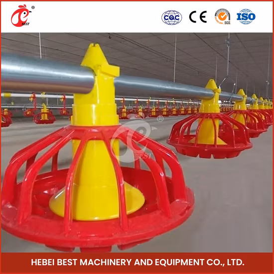 Bestchickencage Broiler Deep Litter System Free Sample China Feed Pan Design Floor Raising Deep Litter System Factory